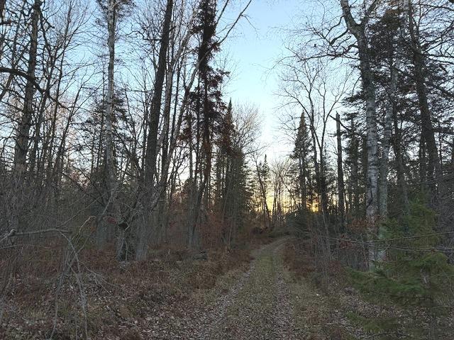 1955 land for sale at 24965 Hammock Trail in Park Rapids, MN (photo 5 of 56)