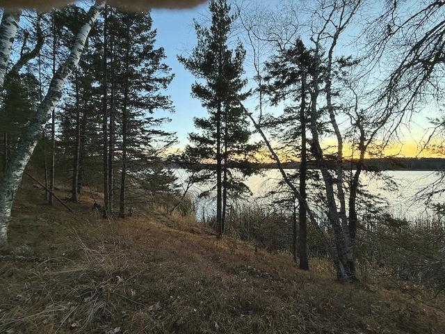 1955 land for sale at 24965 Hammock Trail in Park Rapids, MN (photo 42 of 56)