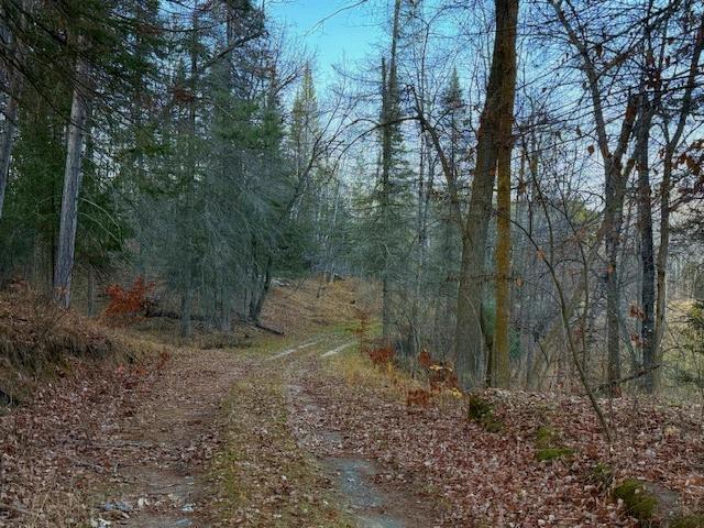 1955 land for sale at 24965 Hammock Trail in Park Rapids, MN (photo 46 of 56)