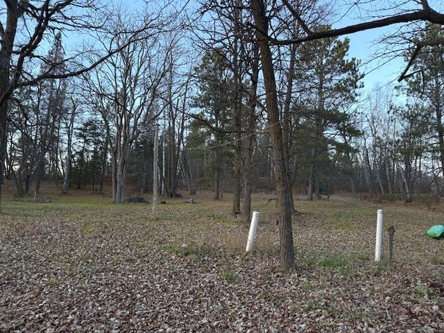 1955 land for sale at 24965 Hammock Trail in Park Rapids, MN (photo 47 of 56)