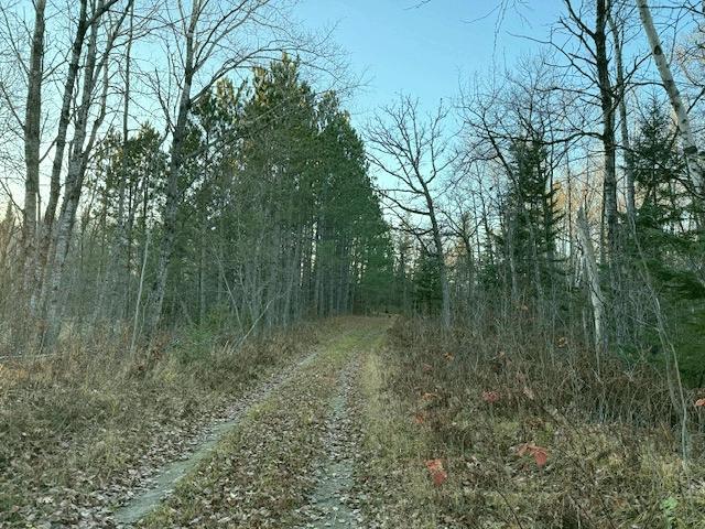 1955 land for sale at 24965 Hammock Trail in Park Rapids, MN (photo 6 of 56)