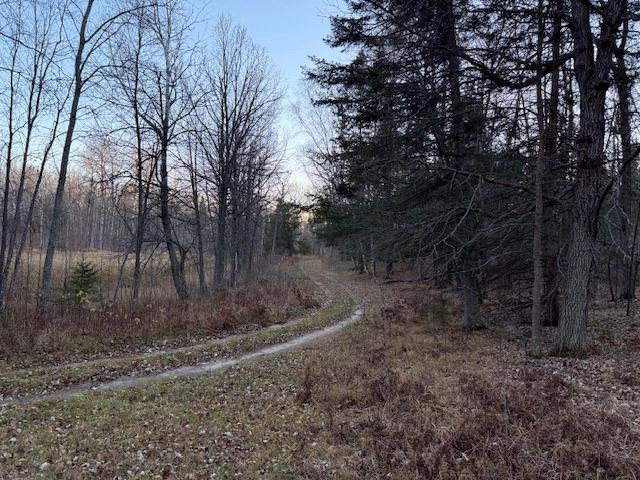 1955 land for sale at 24965 Hammock Trail in Park Rapids, MN (photo 51 of 56)