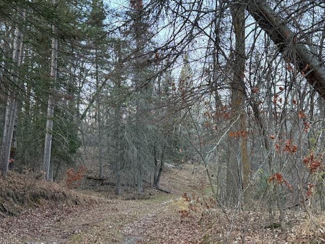 1955 land for sale at 24965 Hammock Trail in Park Rapids, MN (photo 52 of 56)