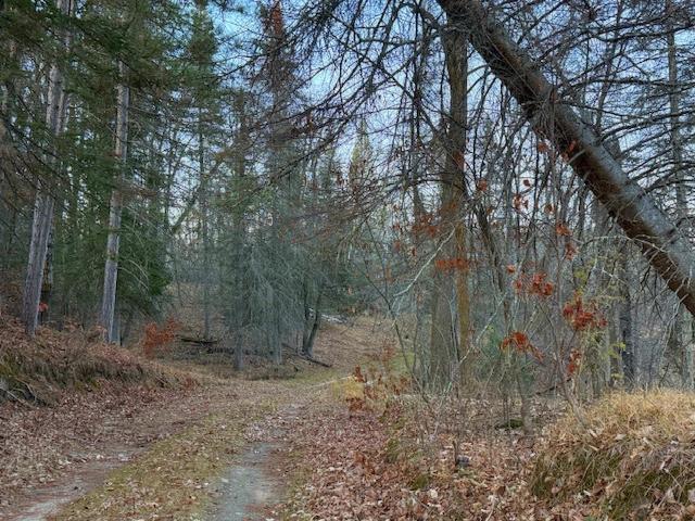 1955 land for sale at 24965 Hammock Trail in Park Rapids, MN (photo 53 of 56)