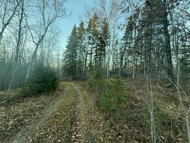 1955 land for sale at 24965 Hammock Trail in Park Rapids, MN (photo 54 of 56)