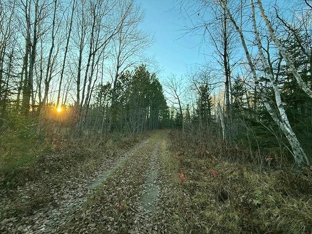1955 land for sale at 24965 Hammock Trail in Park Rapids, MN (photo 7 of 56)