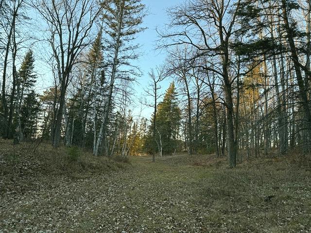1955 land for sale at 24965 Hammock Trail in Park Rapids, MN (photo 8 of 56)