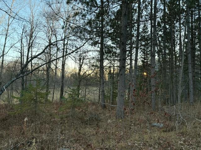 1955 land for sale at 24965 Hammock Trail in Park Rapids, MN (photo 9 of 56)