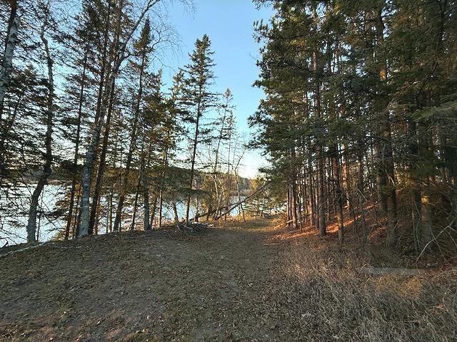 1955 land for sale at 24965 Hammock Trail in Park Rapids, MN (photo 10 of 56)