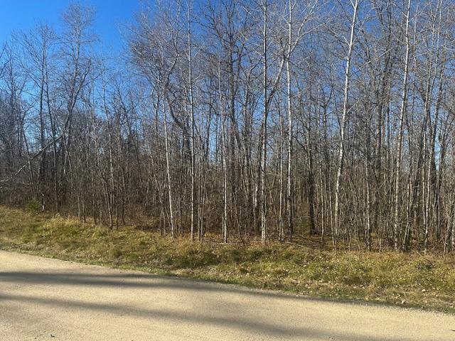 land for sale at TBD Crest Court NE in Bemidji, MN