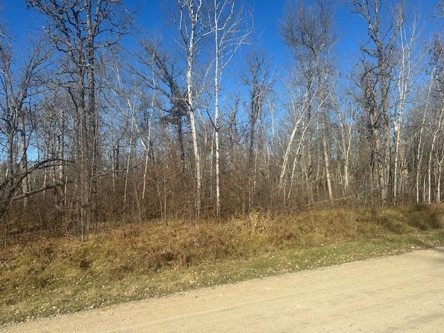 land for sale at TBD Crest Court NE in Bemidji, MN (photo 2 of 4)