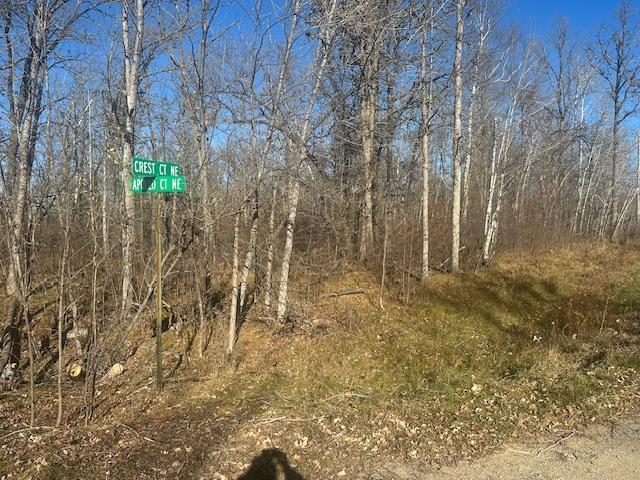 land for sale at TBD Crest Court NE in Bemidji, MN (photo 3 of 4)