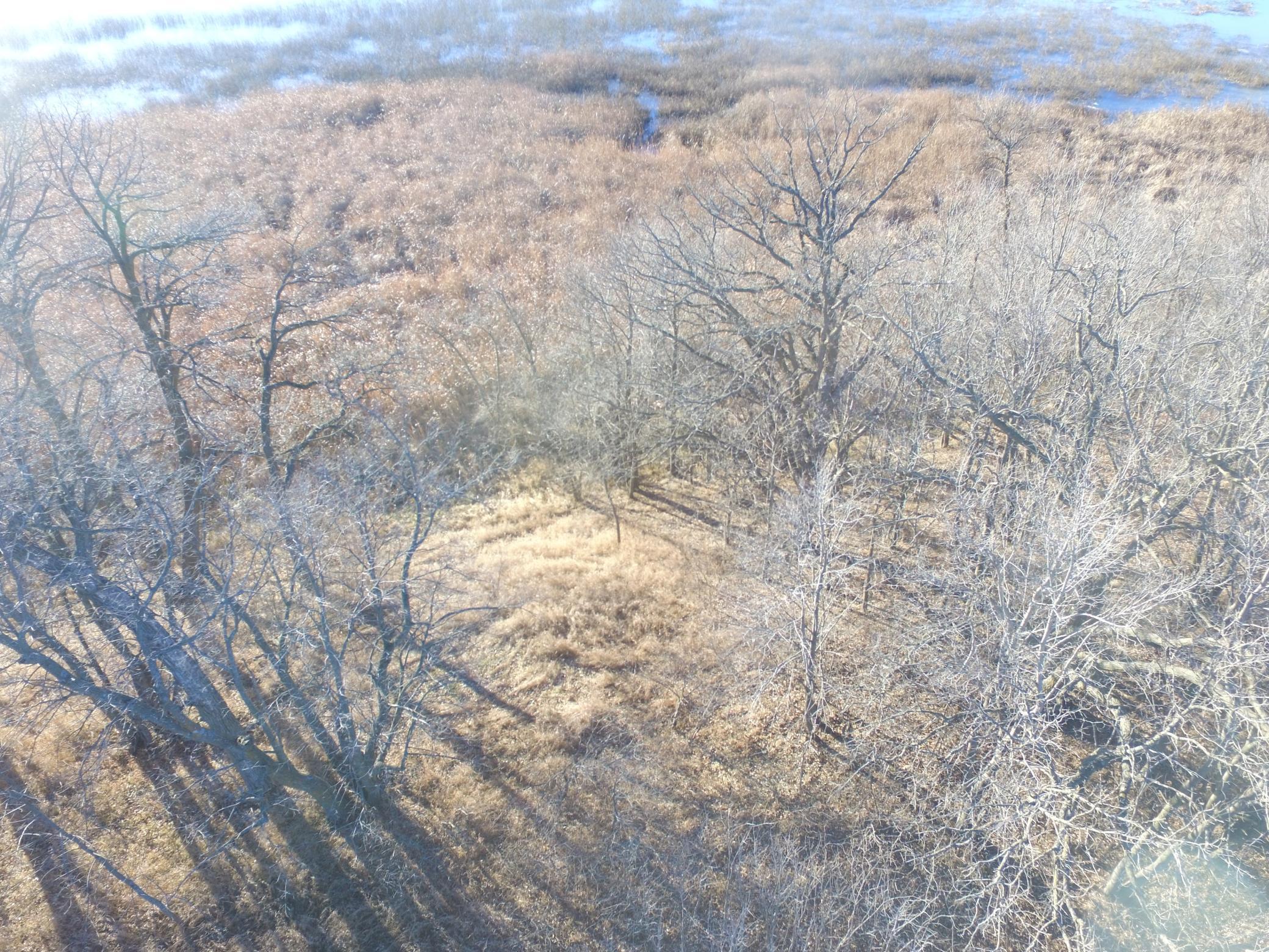 land for sale at TBD Leaf River Road in Ottertail, MN (photo 11 of 20)