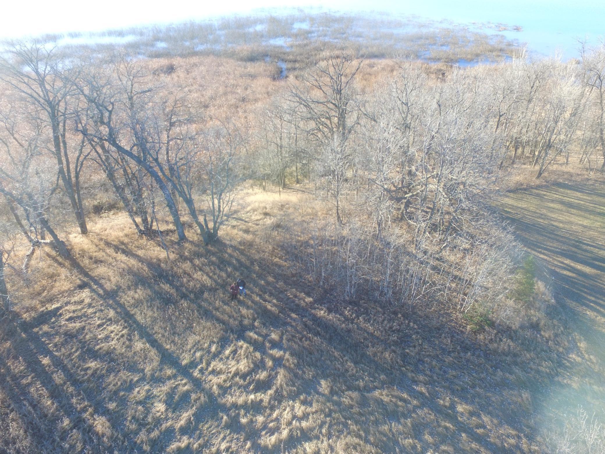 land for sale at TBD Leaf River Road in Ottertail, MN (photo 14 of 20)