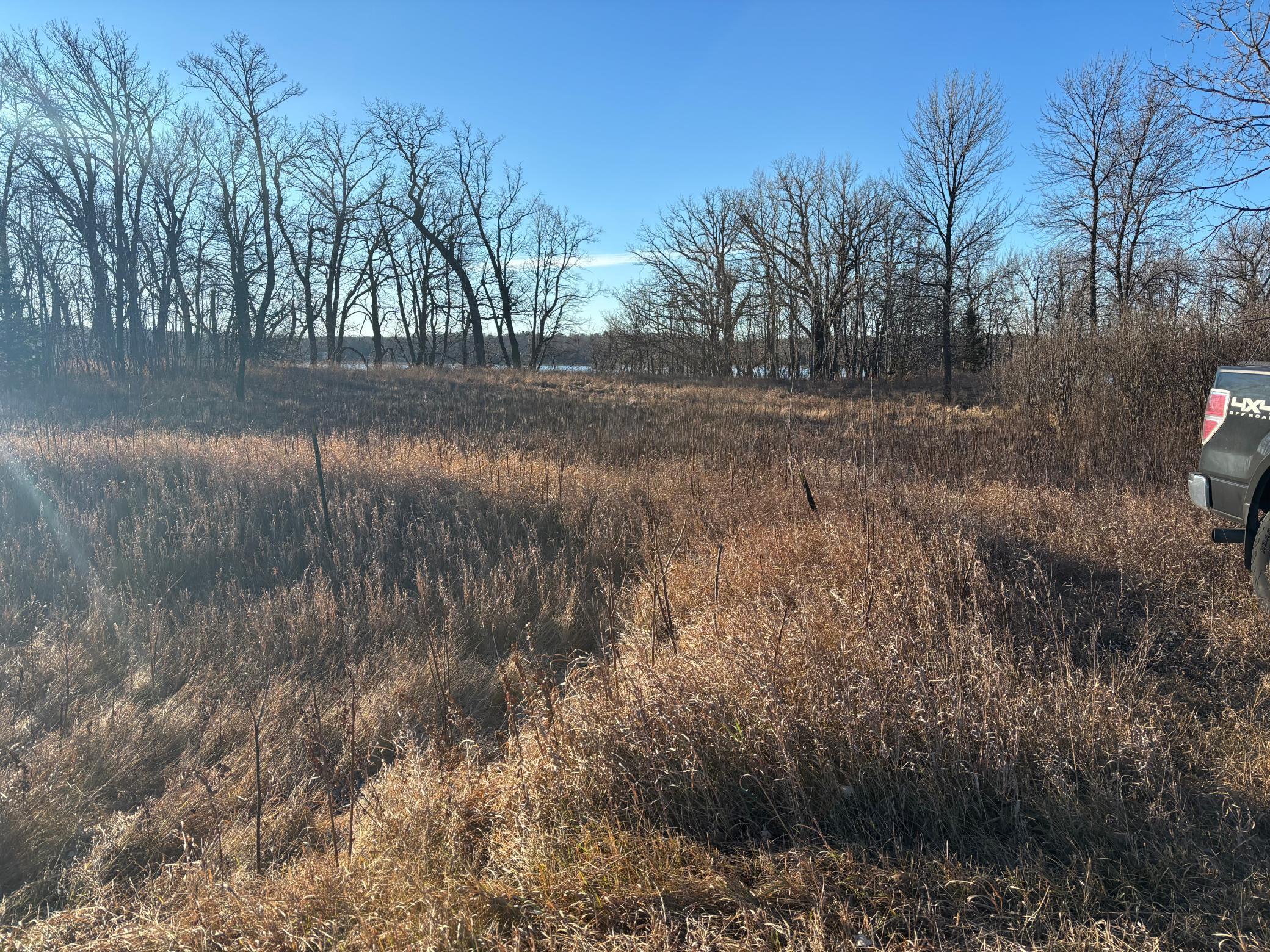 land for sale at TBD Leaf River Road in Ottertail, MN (photo 4 of 20)