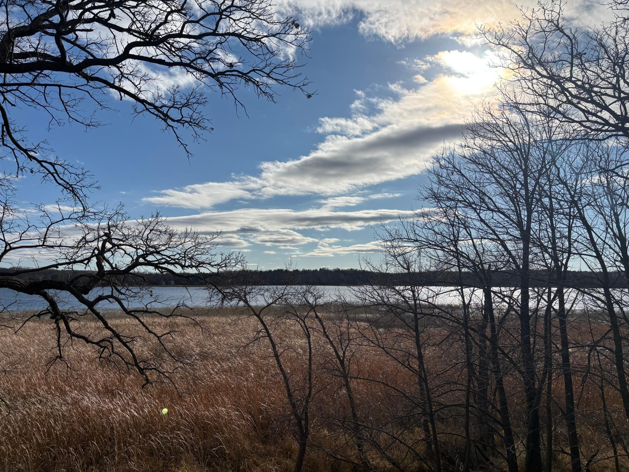 land for sale at TBD Leaf River Road in Ottertail, MN (photo 5 of 20)