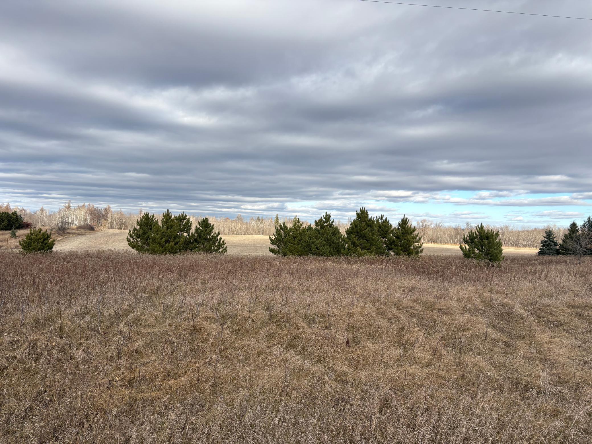 land for sale at TBD Leaf River Road in Ottertail, MN (photo 7 of 20)