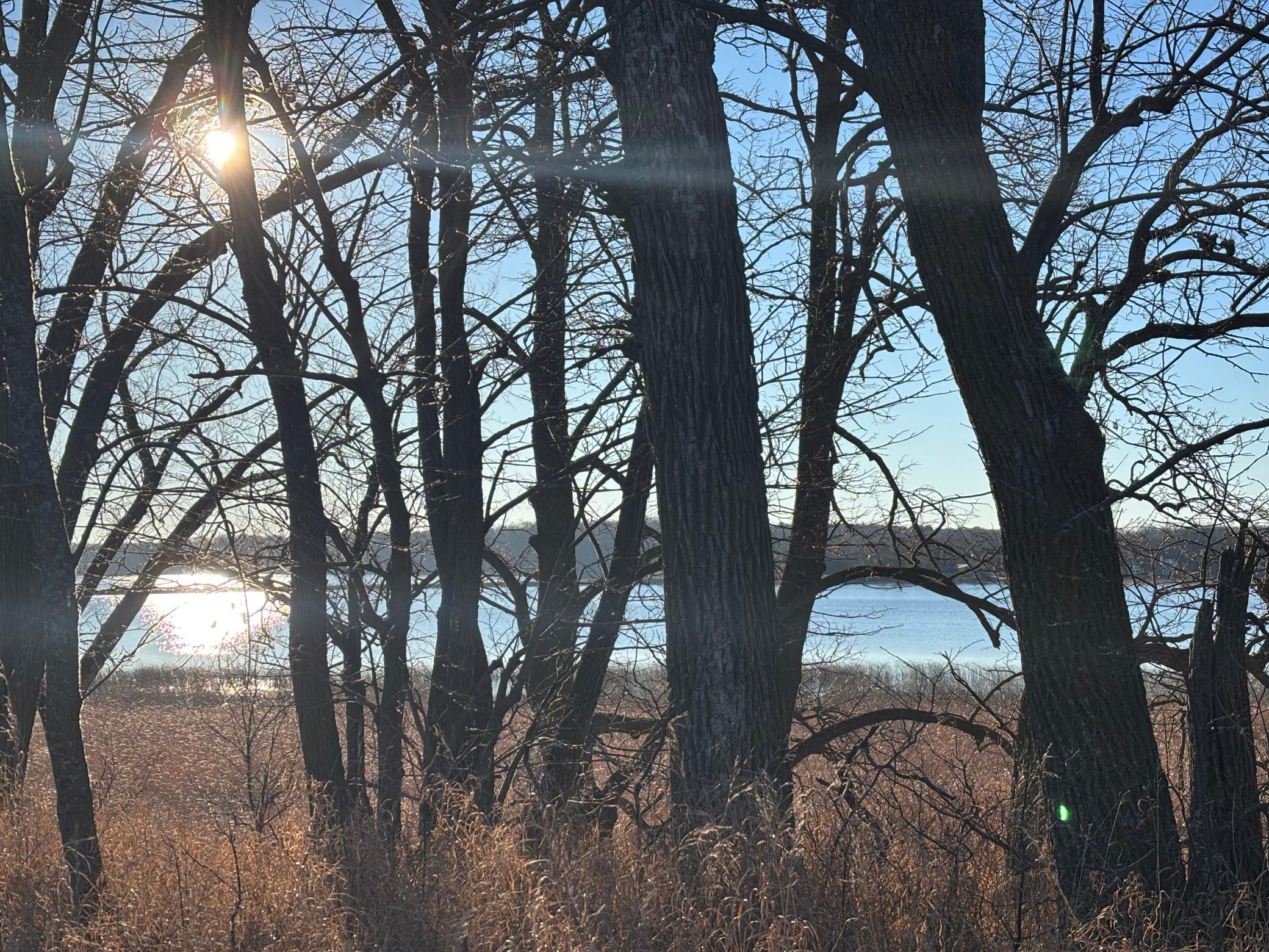 land for sale at TBD Leaf River Road in Ottertail, MN (photo 8 of 20)
