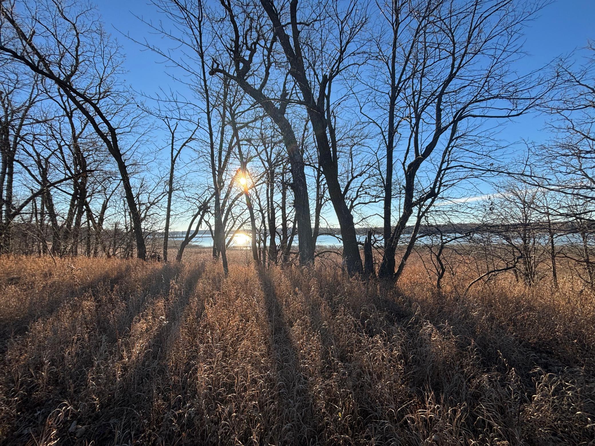 land for sale at TBD Leaf River Road in Ottertail, MN (photo 9 of 20)