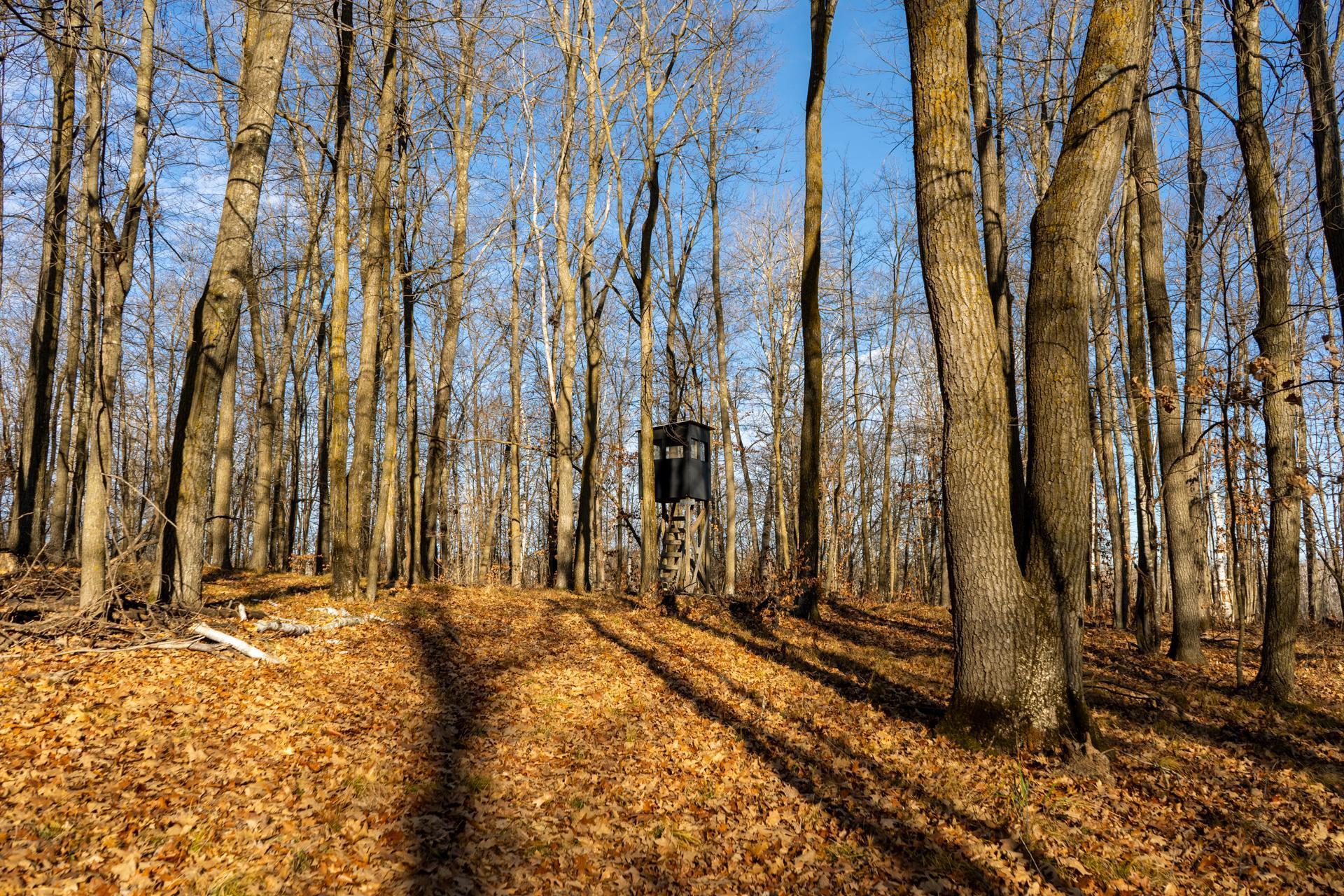 land for sale at TBD 48th Street SW in Pine River, MN