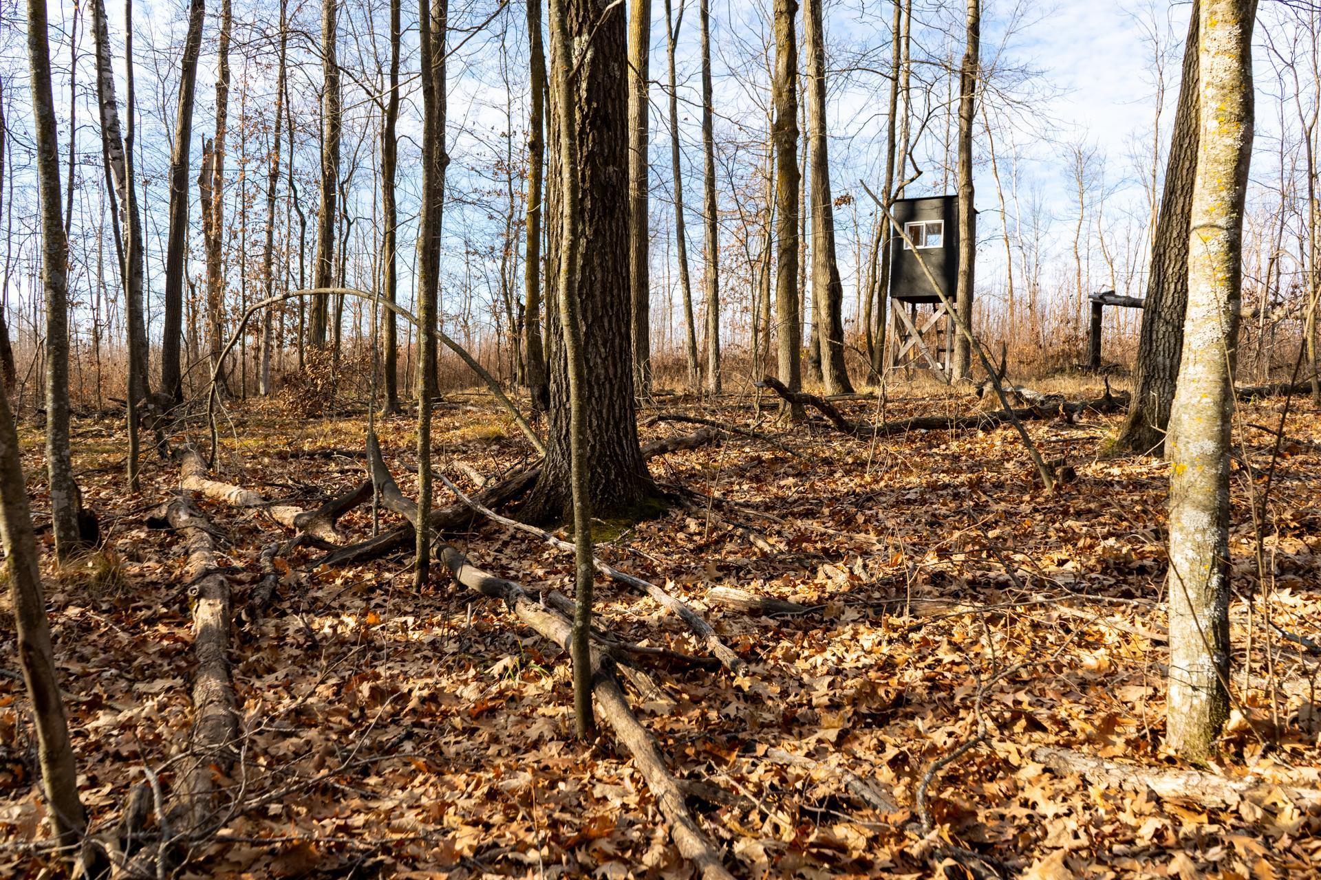 land for sale at TBD 48th Street SW in Pine River, MN (photo 11 of 31)