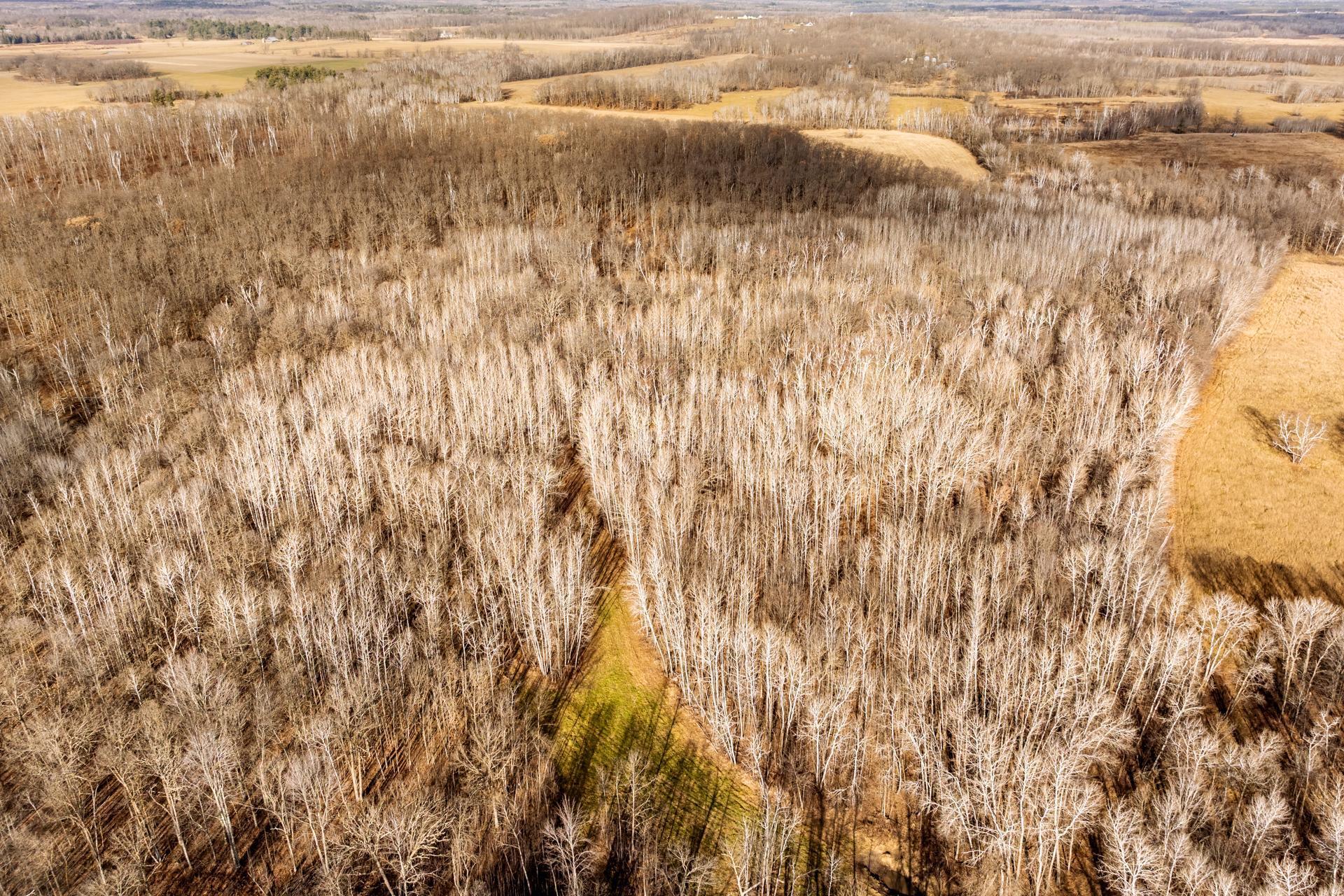 land for sale at TBD 48th Street SW in Pine River, MN (photo 13 of 31)