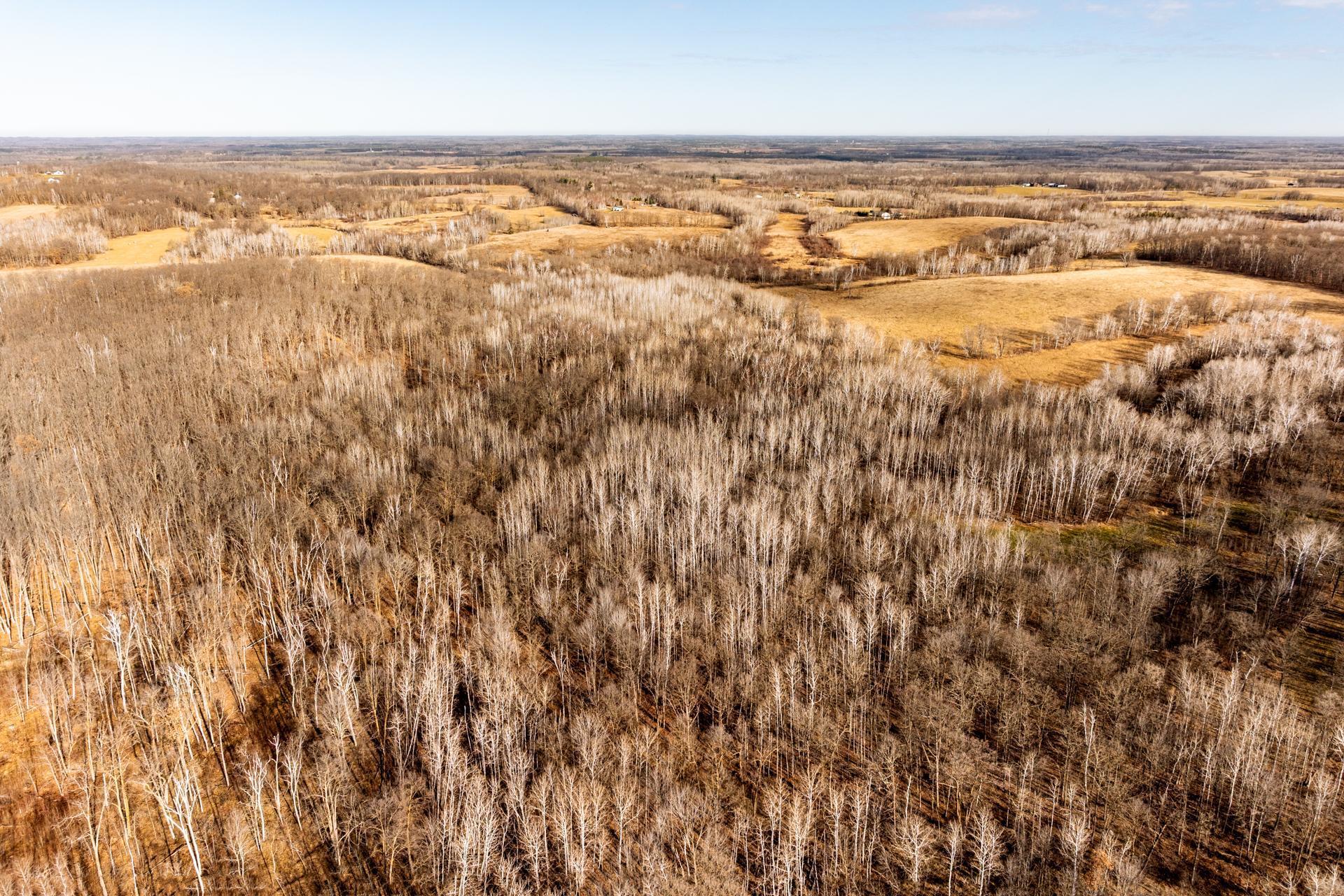 land for sale at TBD 48th Street SW in Pine River, MN (photo 14 of 31)