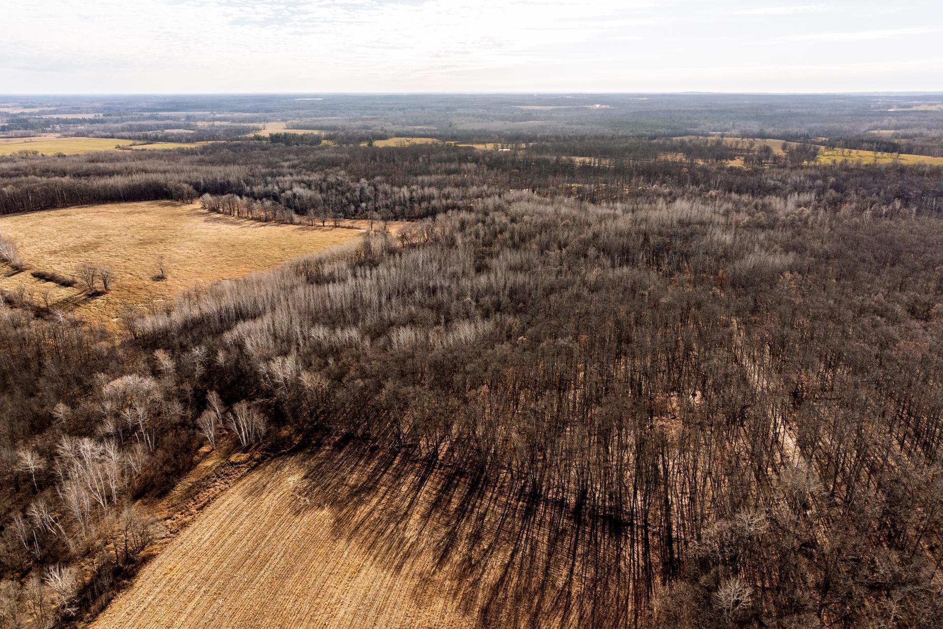 land for sale at TBD 48th Street SW in Pine River, MN (photo 16 of 31)