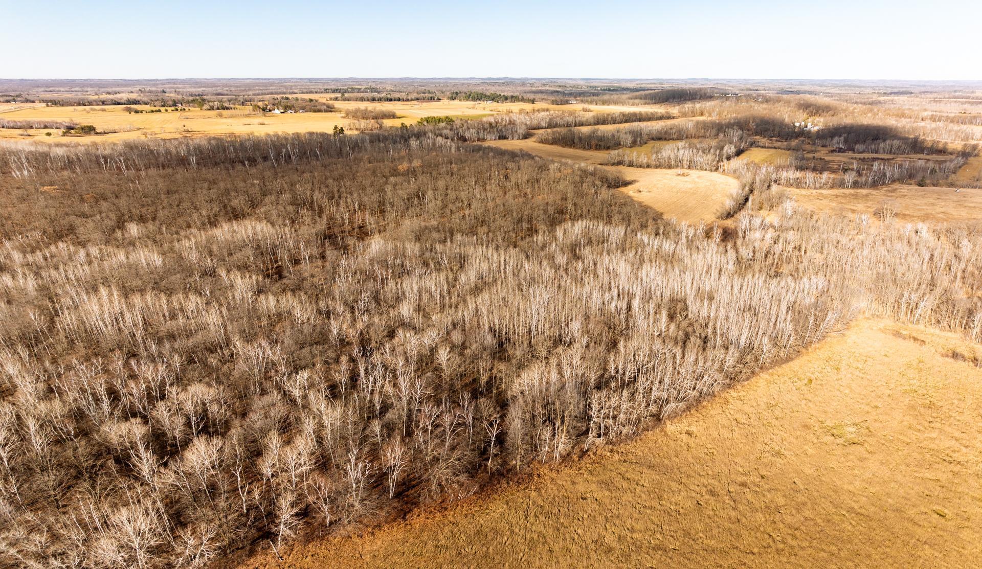 land for sale at TBD 48th Street SW in Pine River, MN (photo 17 of 31)