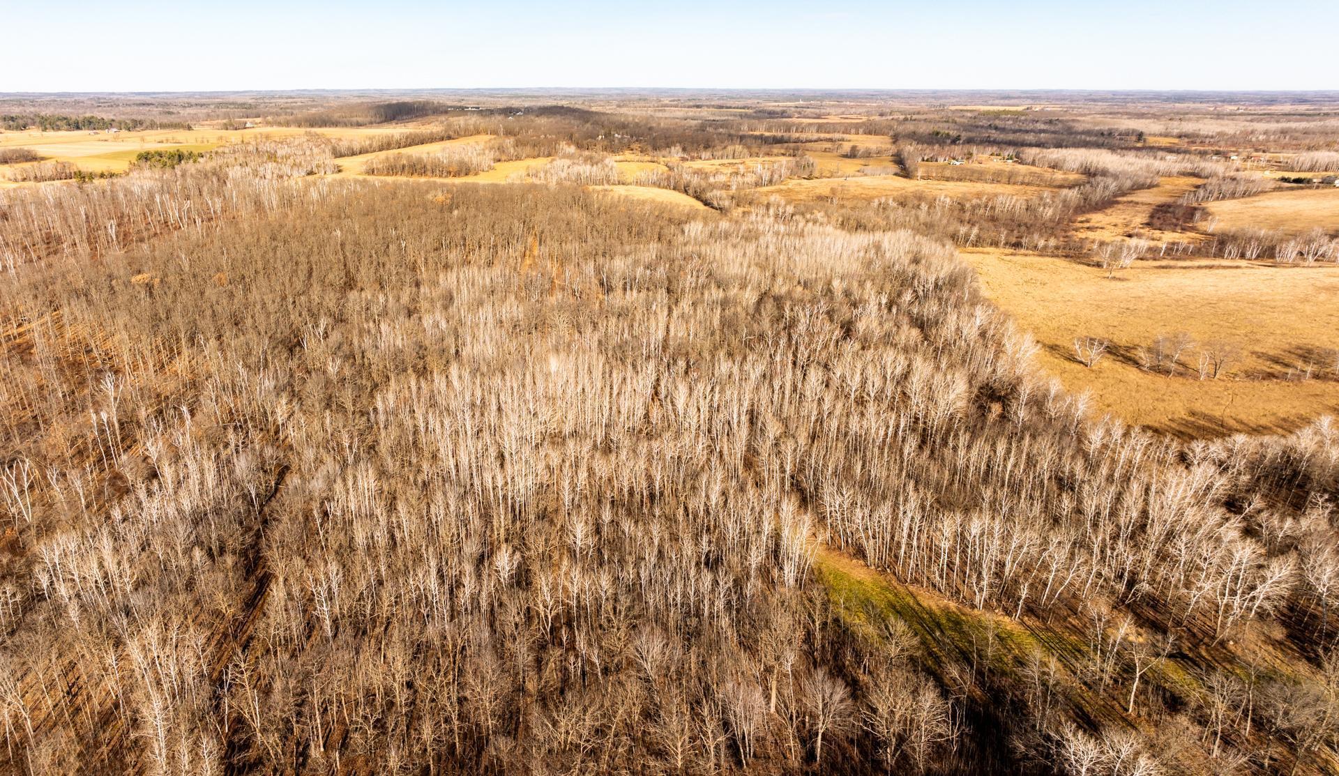 land for sale at TBD 48th Street SW in Pine River, MN (photo 18 of 31)