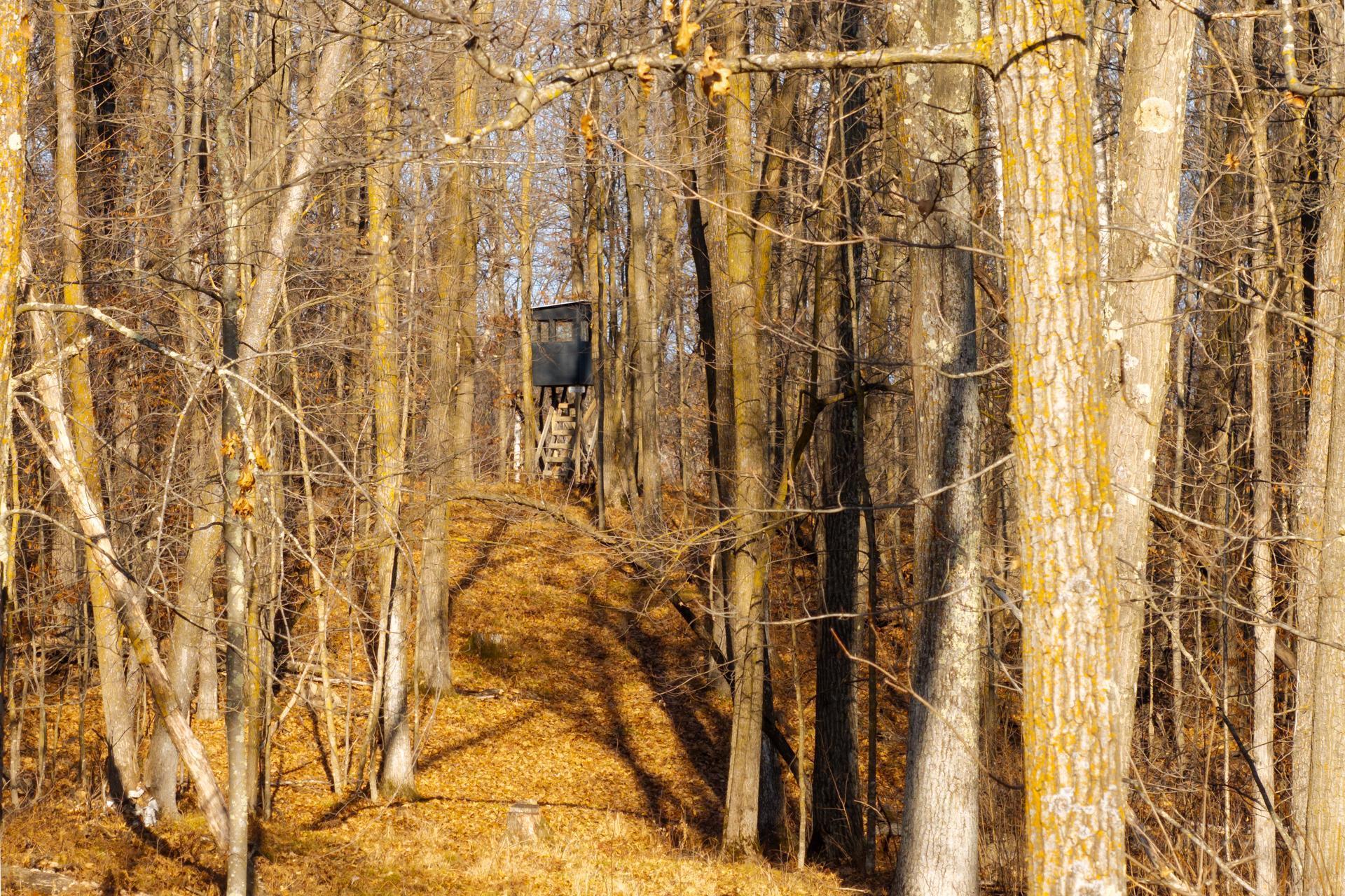 land for sale at TBD 48th Street SW in Pine River, MN (photo 21 of 31)