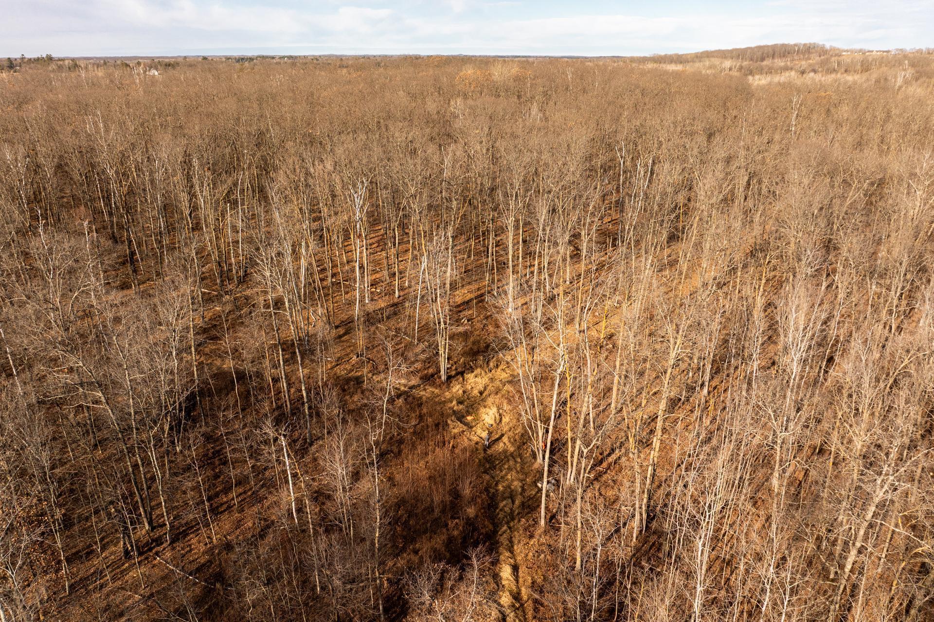land for sale at TBD 48th Street SW in Pine River, MN (photo 24 of 31)