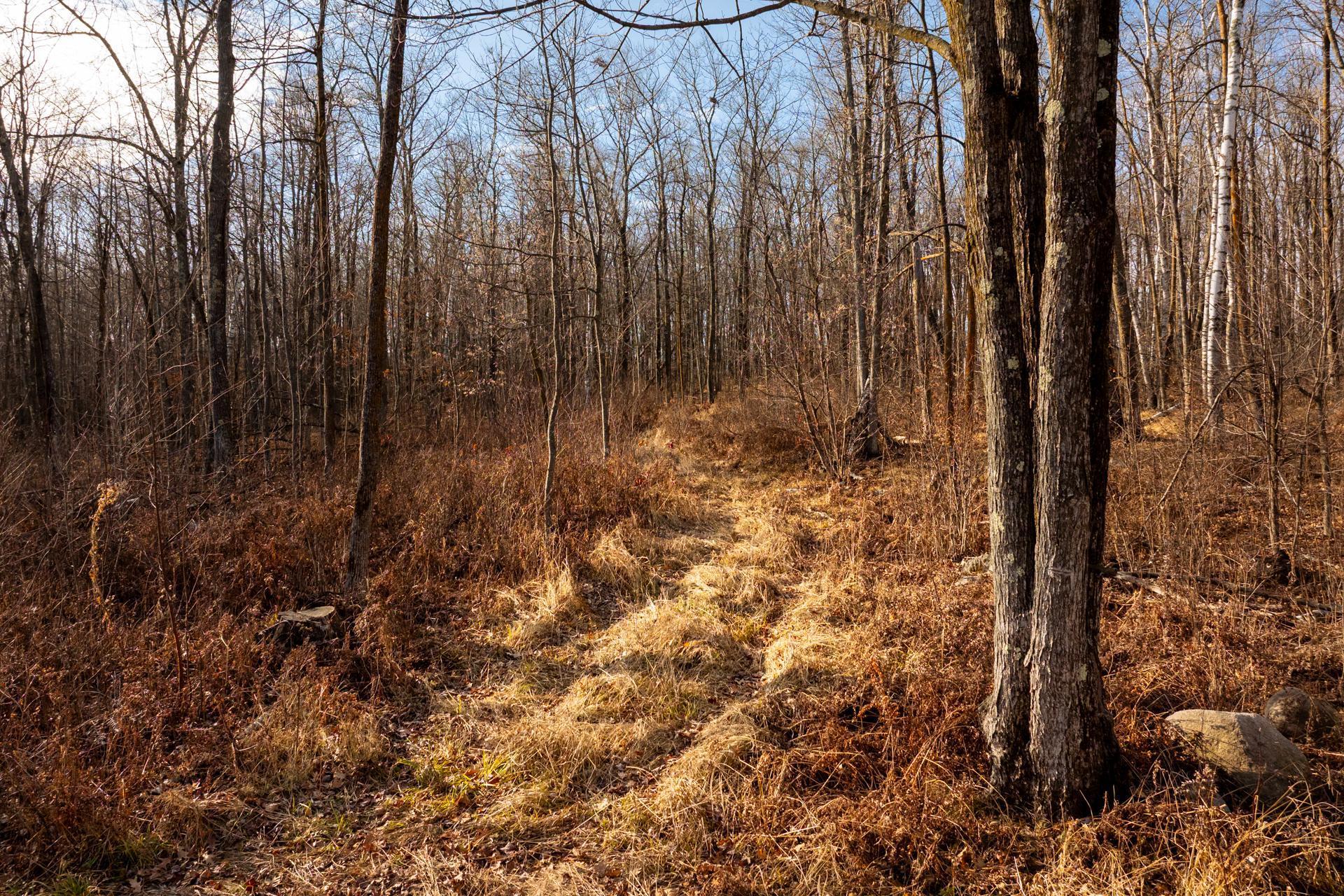 land for sale at TBD 48th Street SW in Pine River, MN (photo 29 of 31)