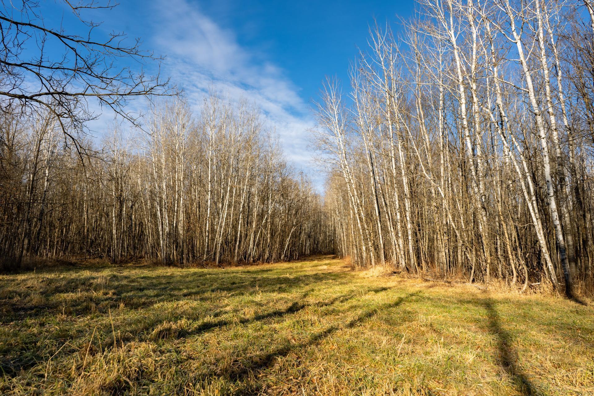 land for sale at TBD 48th Street SW in Pine River, MN (photo 4 of 31)