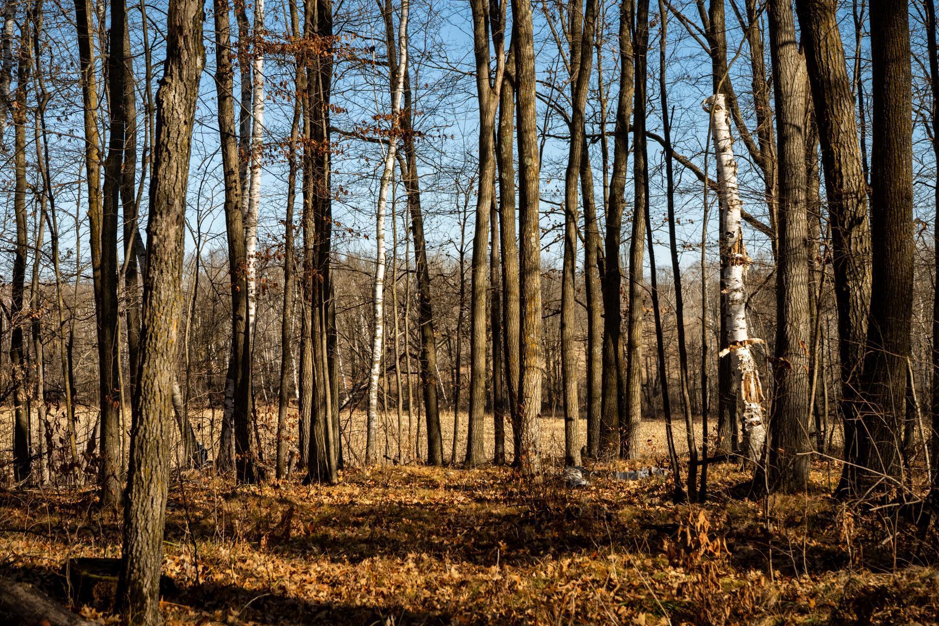 land for sale at TBD 48th Street SW in Pine River, MN (photo 7 of 31)