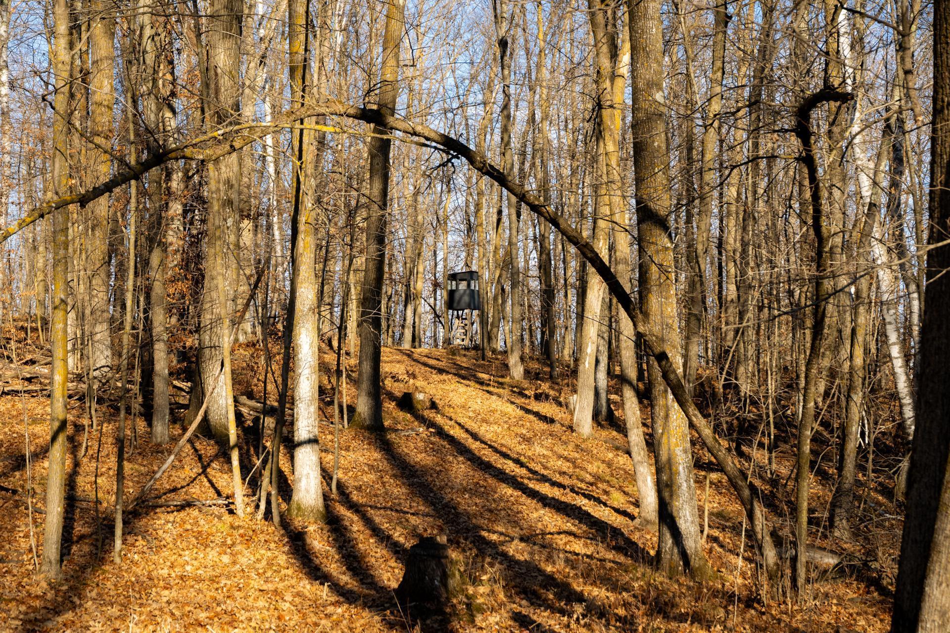 land for sale at TBD 48th Street SW in Pine River, MN (photo 9 of 31)