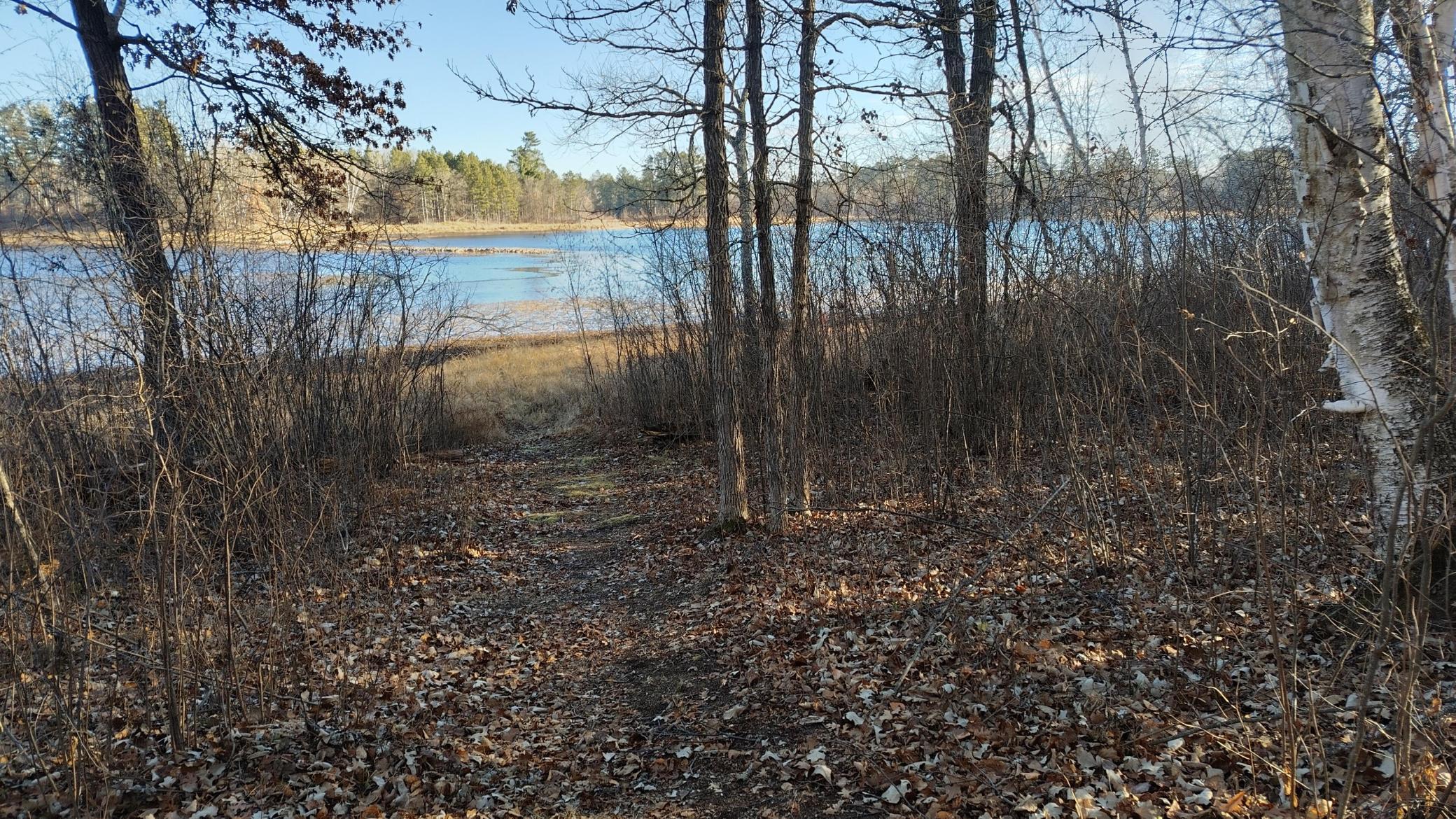 land for sale at 28515 Fools Lake Drive in Park Rapids, MN (photo 2 of 16)