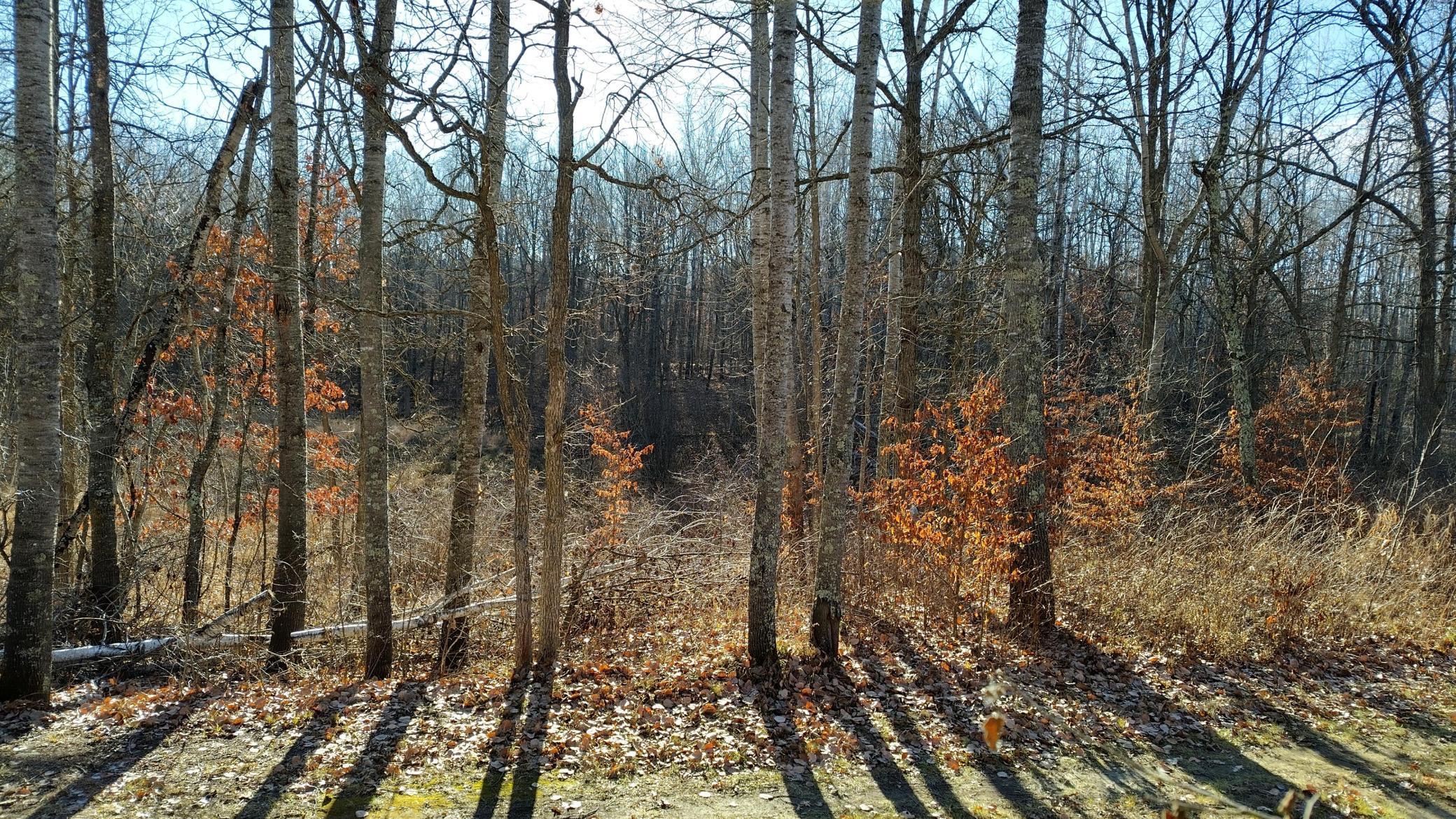 land for sale at 28515 Fools Lake Drive in Park Rapids, MN (photo 11 of 16)