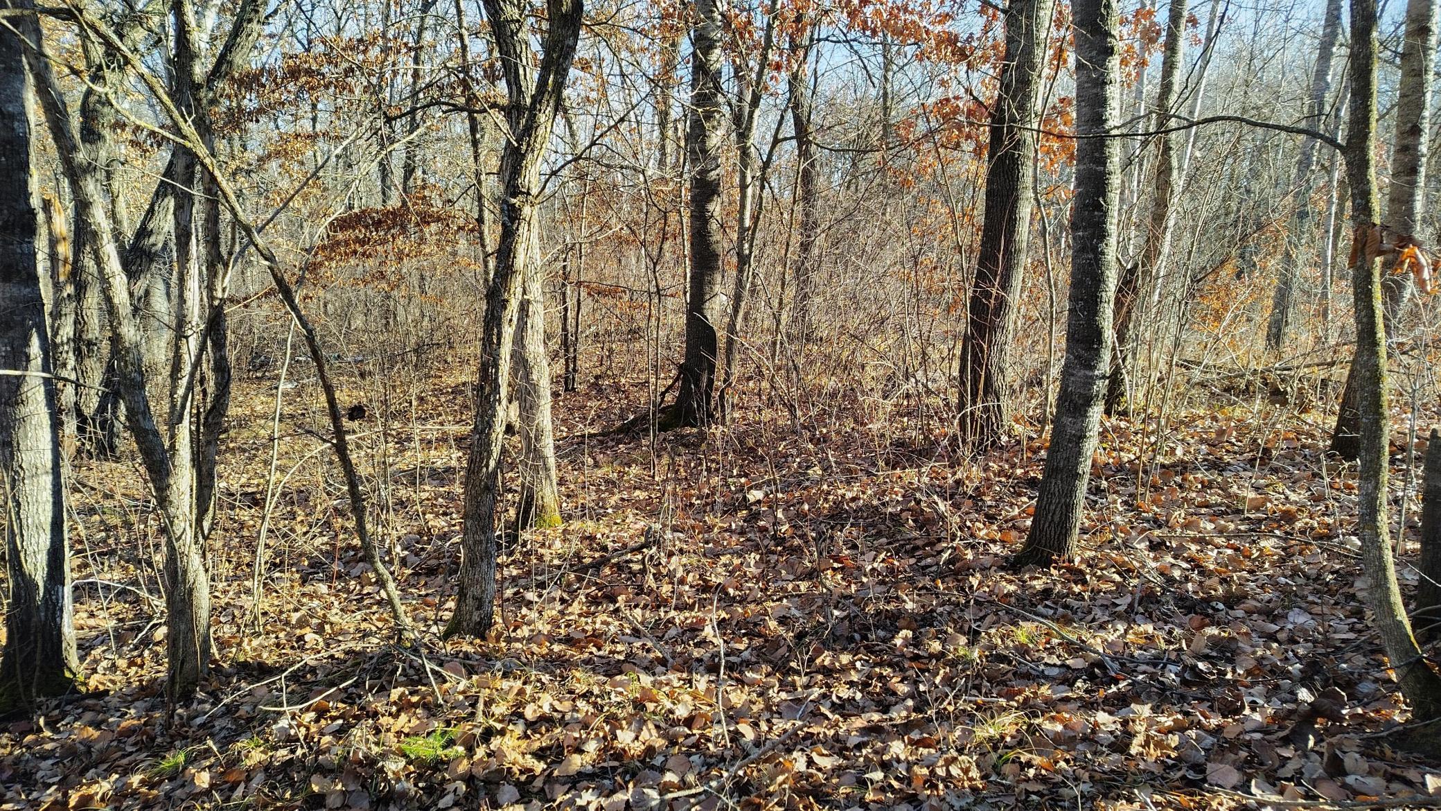 land for sale at 28515 Fools Lake Drive in Park Rapids, MN (photo 12 of 16)