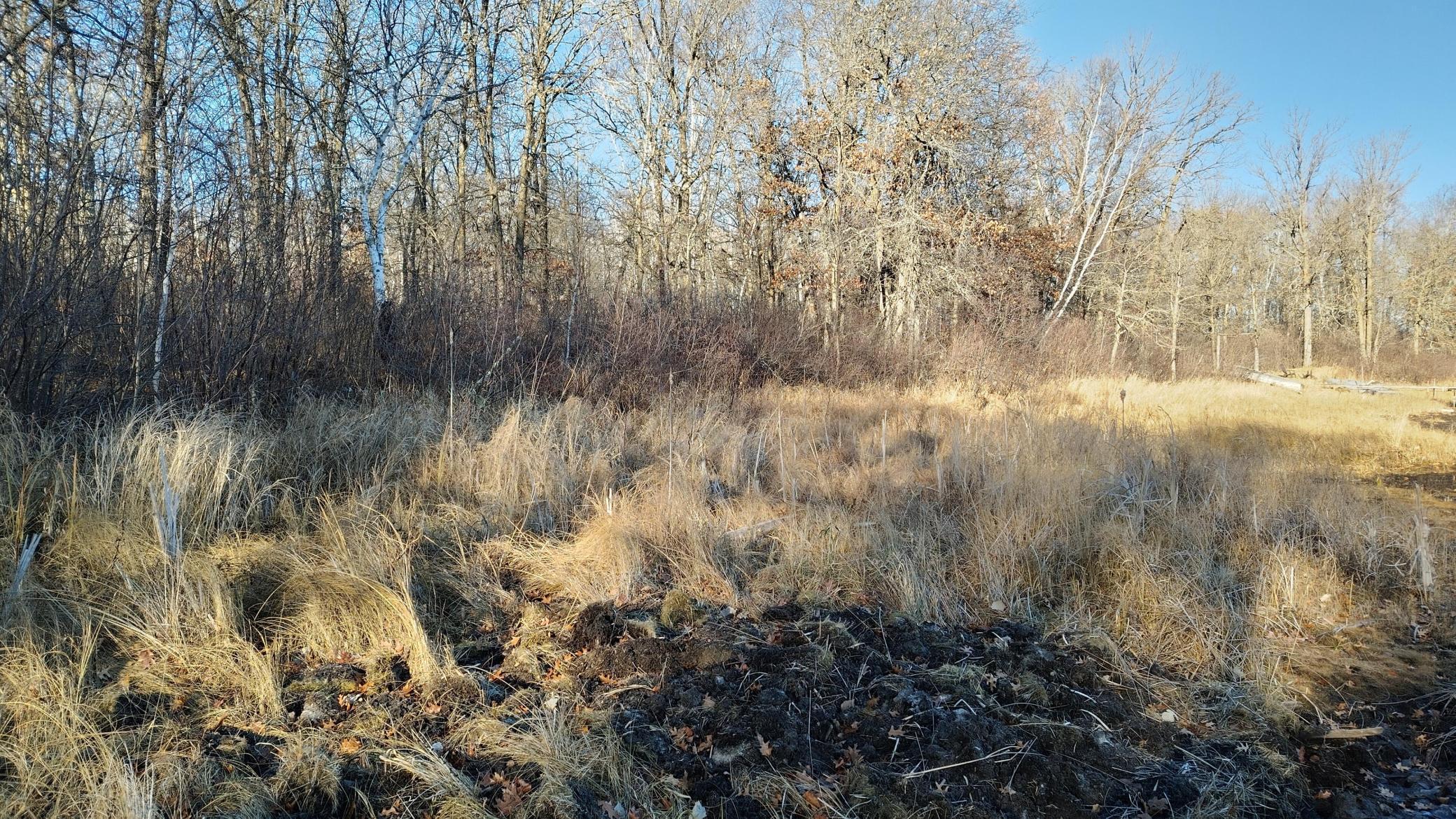 land for sale at 28515 Fools Lake Drive in Park Rapids, MN (photo 8 of 16)