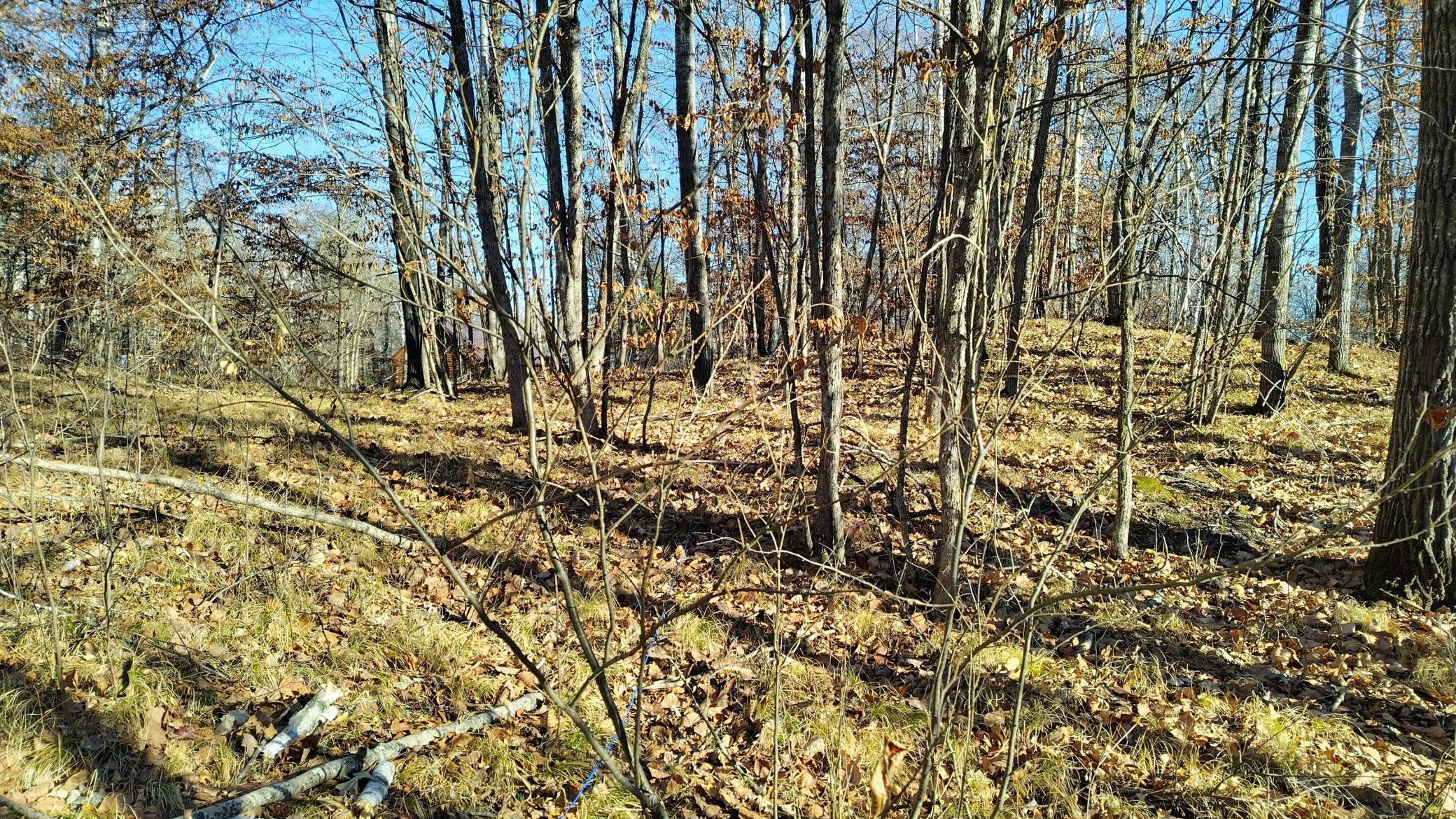 land for sale at 28515 Fools Lake Drive in Park Rapids, MN (photo 9 of 16)