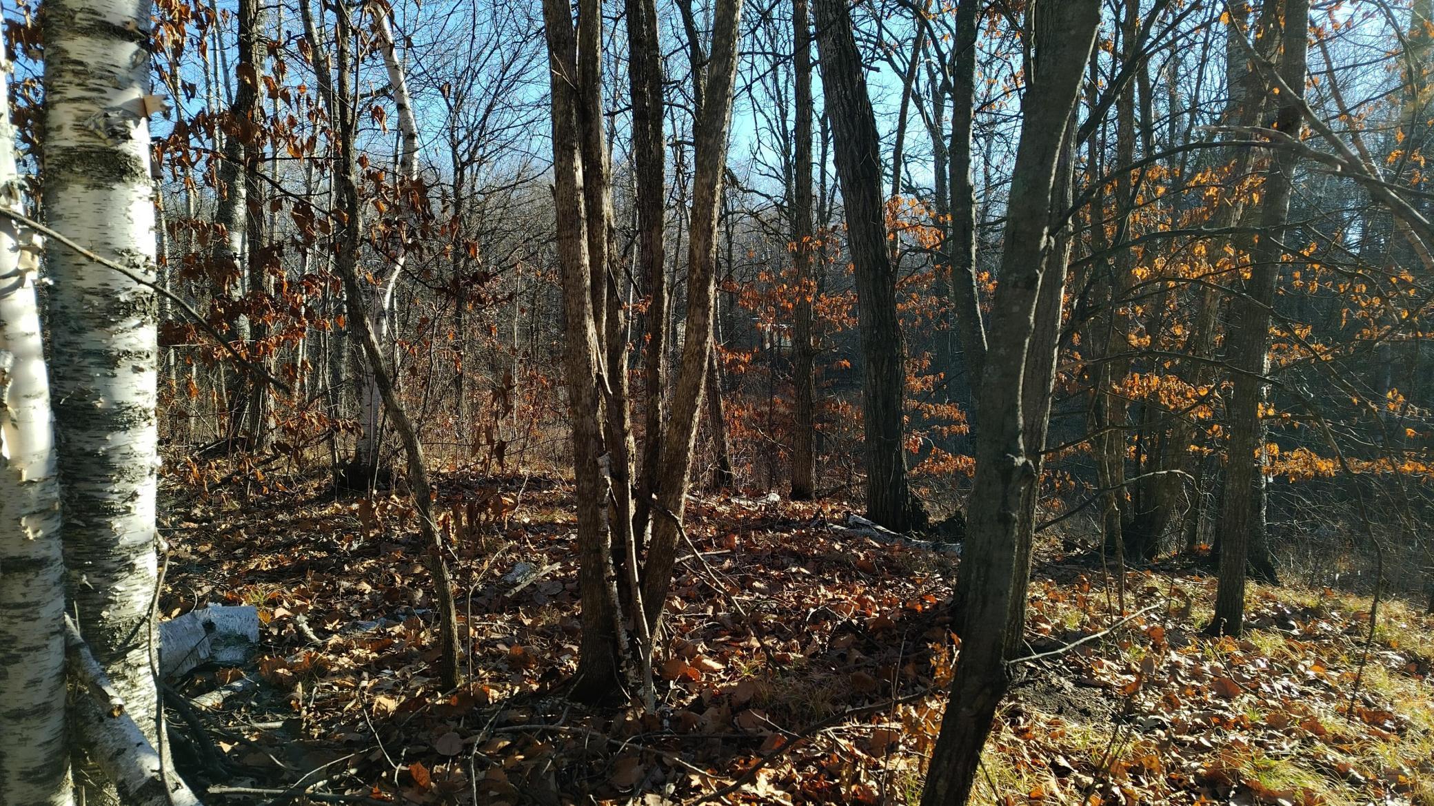 land for sale at 28515 Fools Lake Drive in Park Rapids, MN (photo 10 of 16)