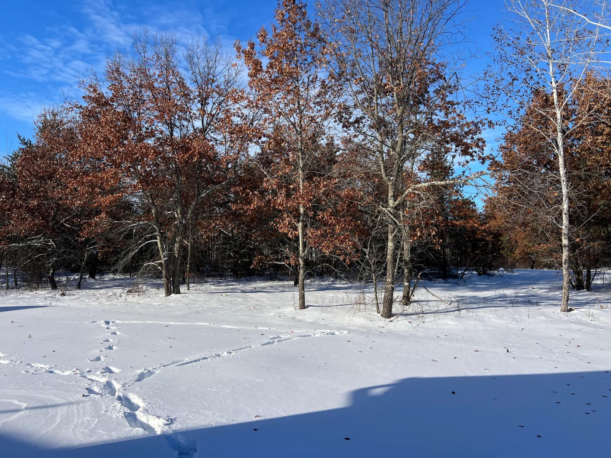 2025 townhouse for sale at 16912 Piper Lane in Brainerd, MN — 2 bed, 2 bath (photo 20 of 21)
