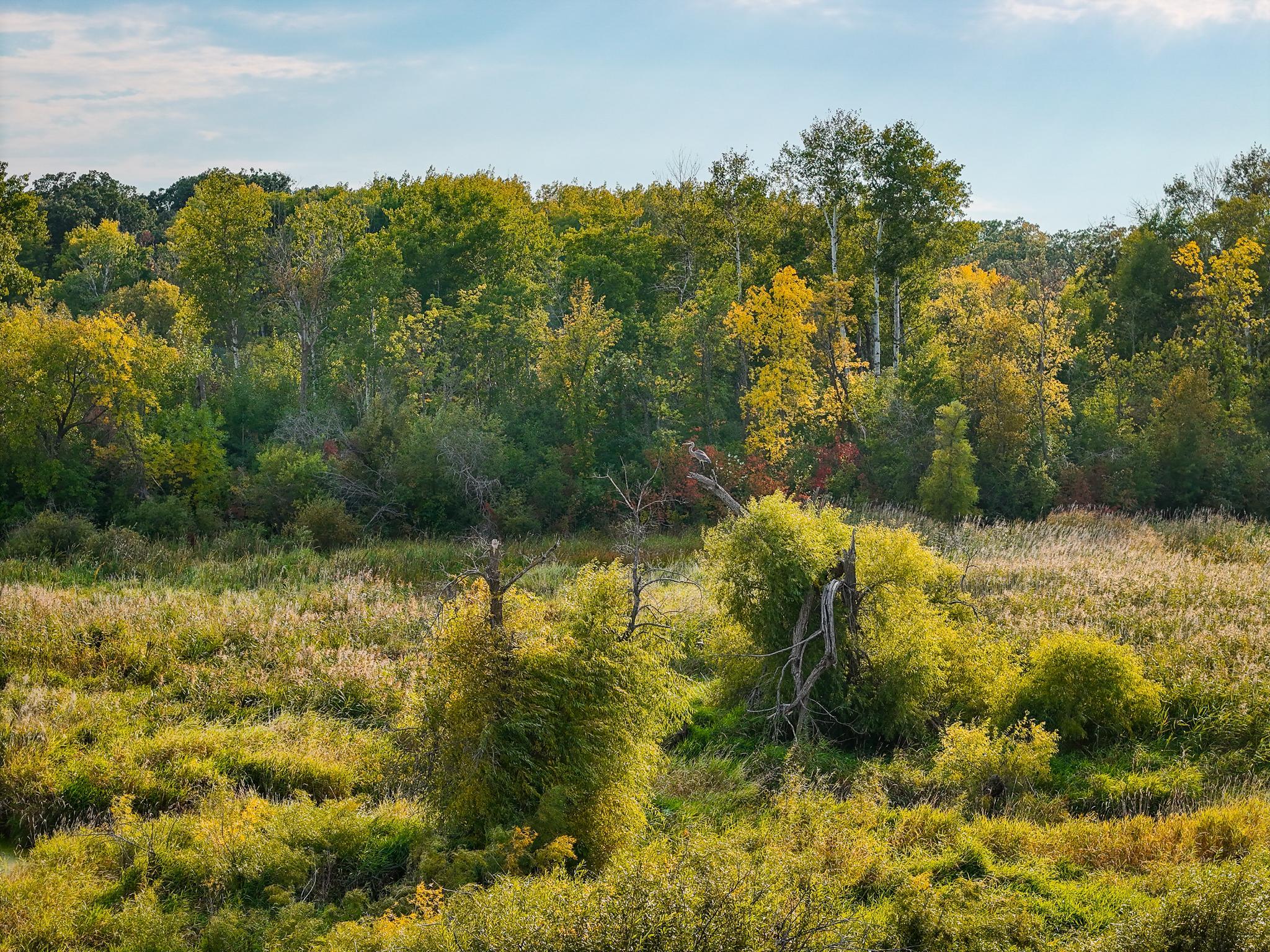 1918 land for sale at 34774 400th ST St SE in Fosston, MN (photo 18 of 52)