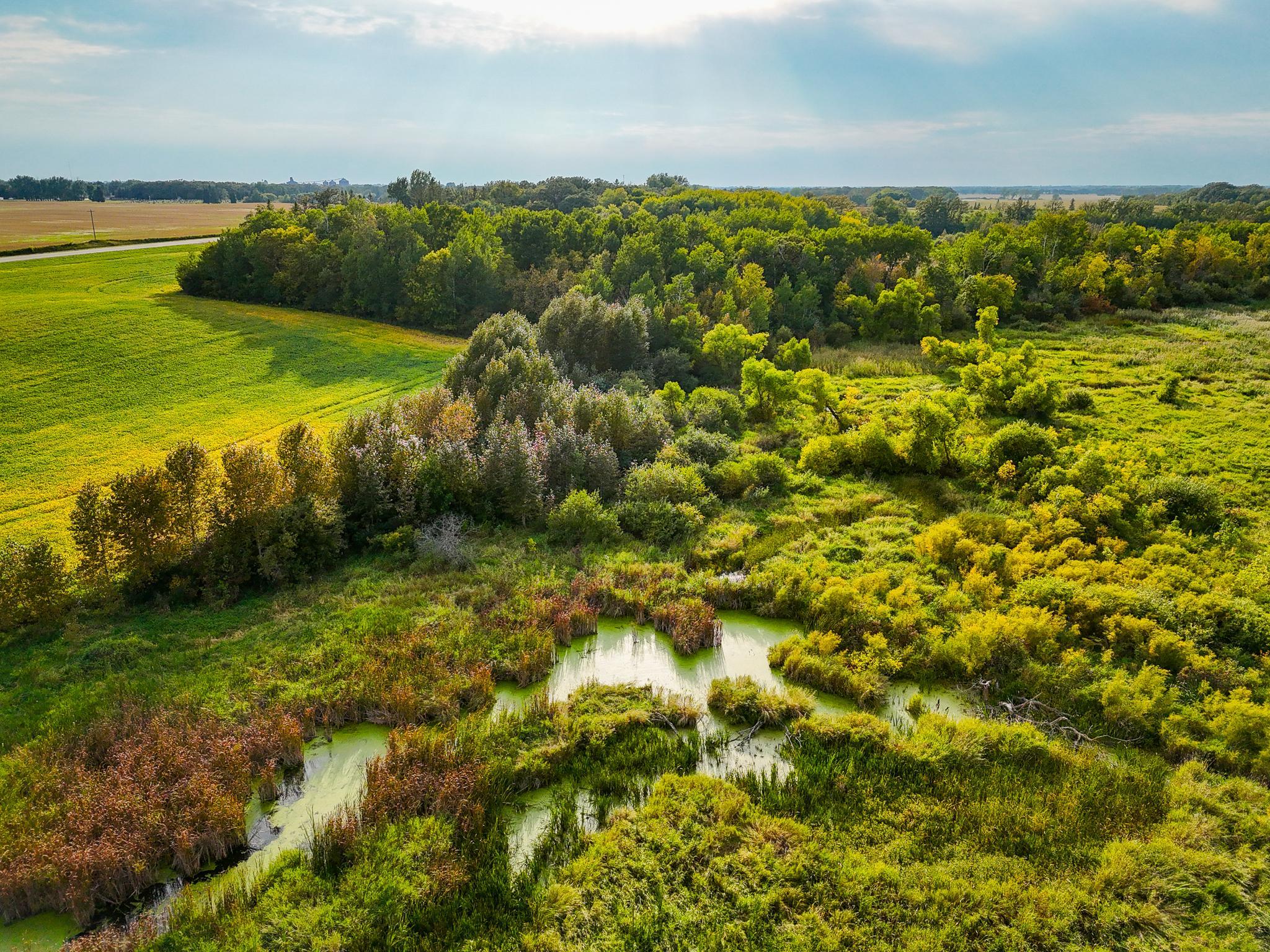 1918 land for sale at 34774 400th ST St SE in Fosston, MN (photo 20 of 52)