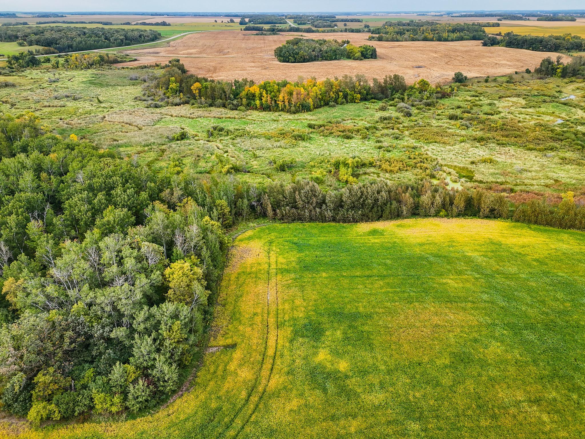 1918 land for sale at 34774 400th ST St SE in Fosston, MN (photo 3 of 52)