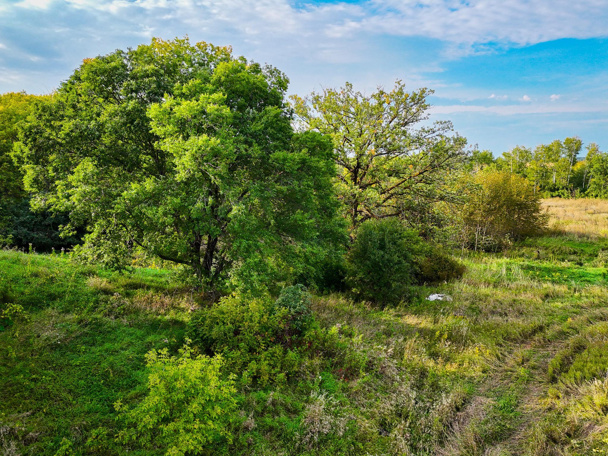 1918 land for sale at 34774 400th ST St SE in Fosston, MN (photo 23 of 52)