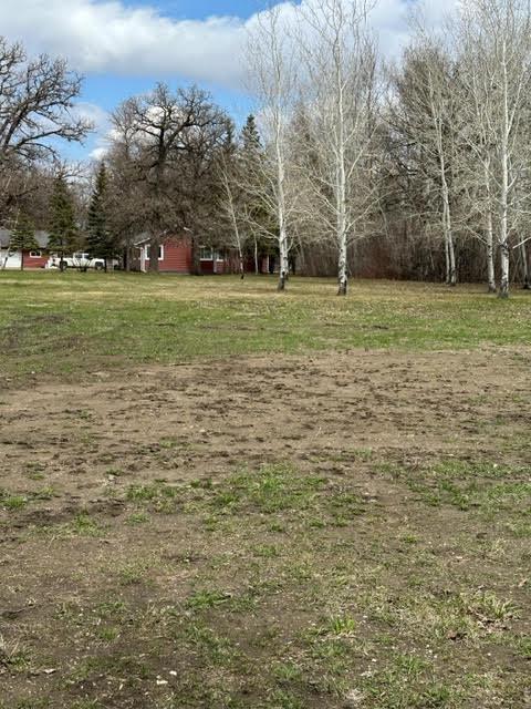 land for sale at 401 Robson Court in Thief River Falls, MN