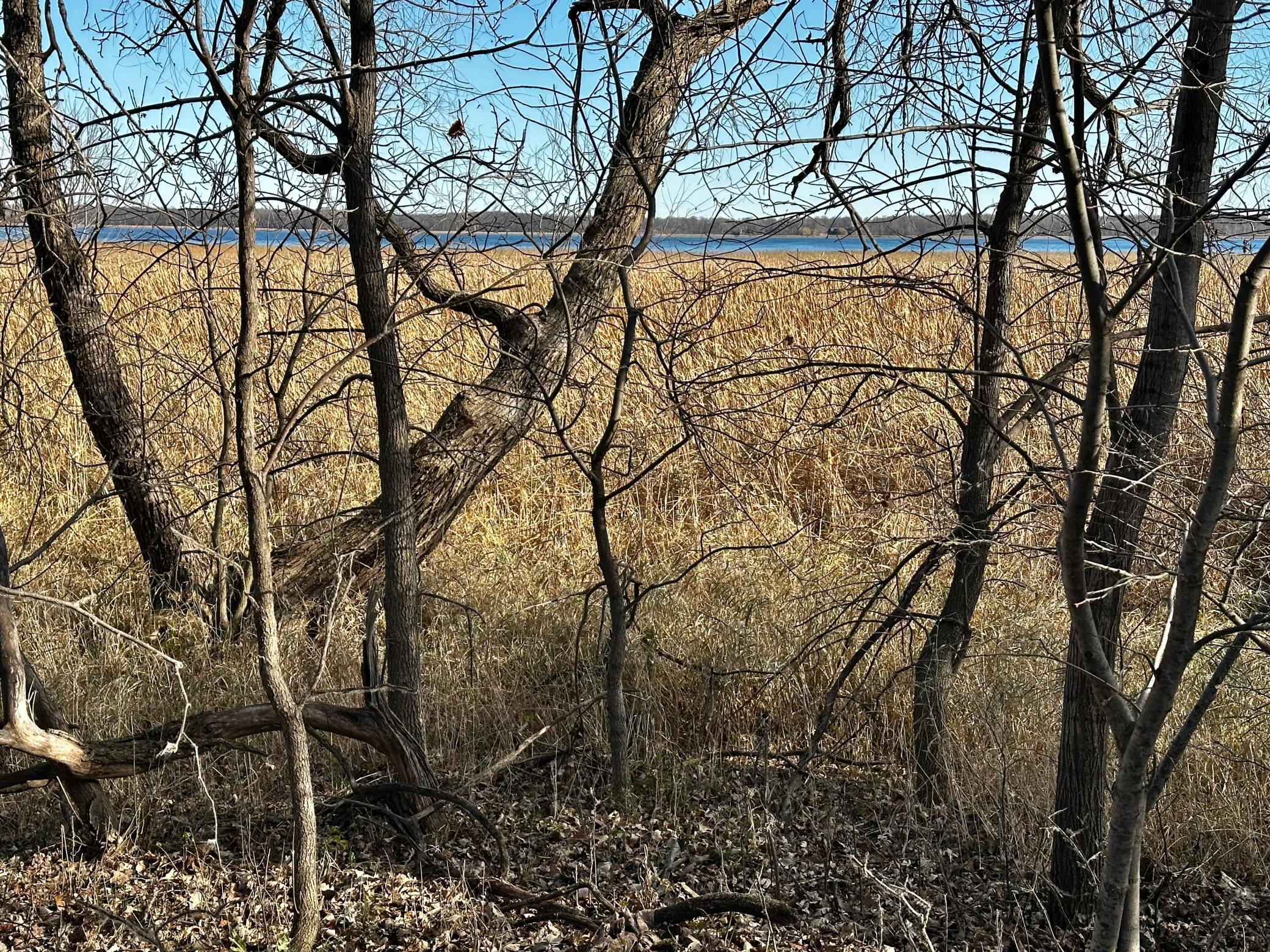 land for sale at TBD Hummingbird Way in Alexandria, MN (photo 20 of 22)