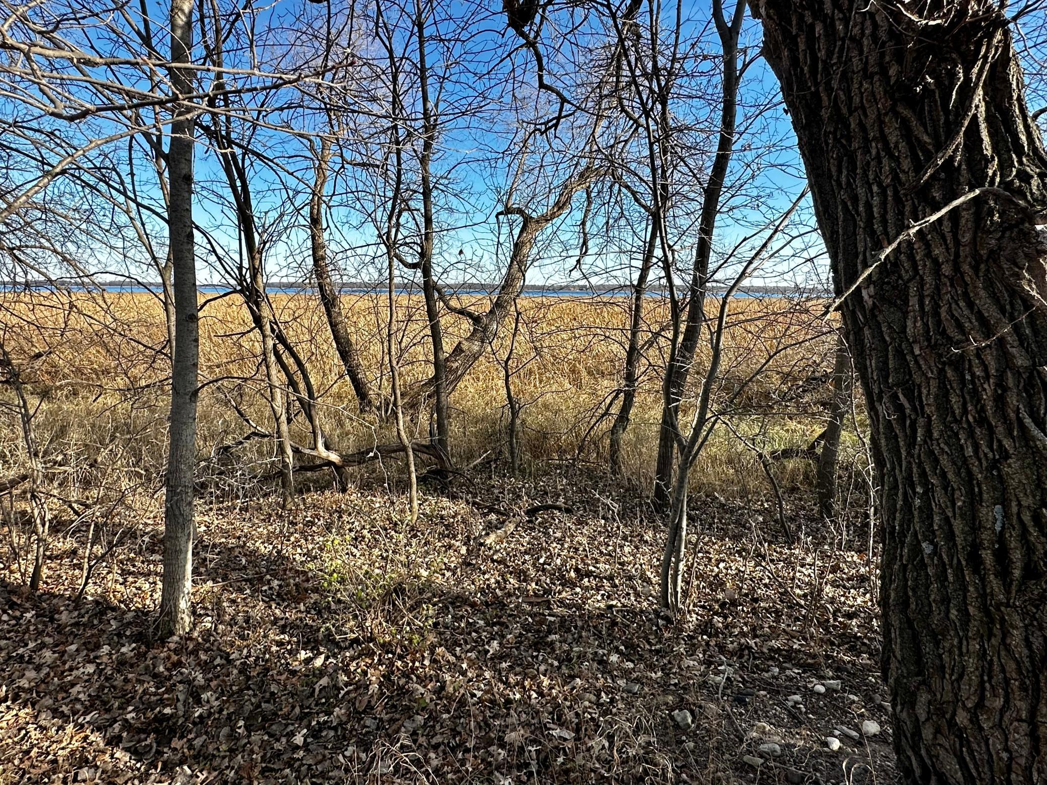 land for sale at TBD Hummingbird Way in Alexandria, MN (photo 3 of 22)